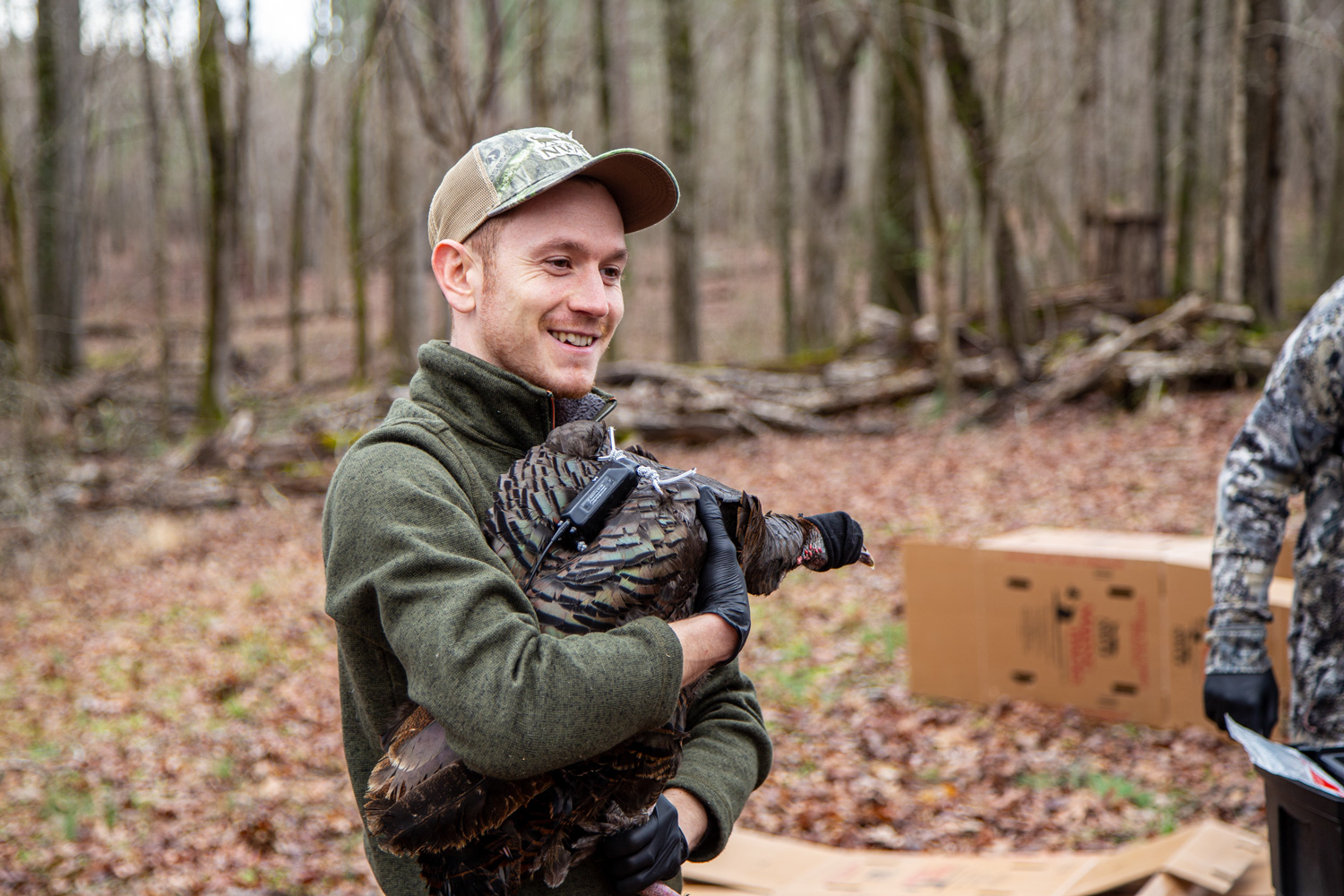 NWTF staffer with a hen turkey that has been affixed with a tracking device for research purposes