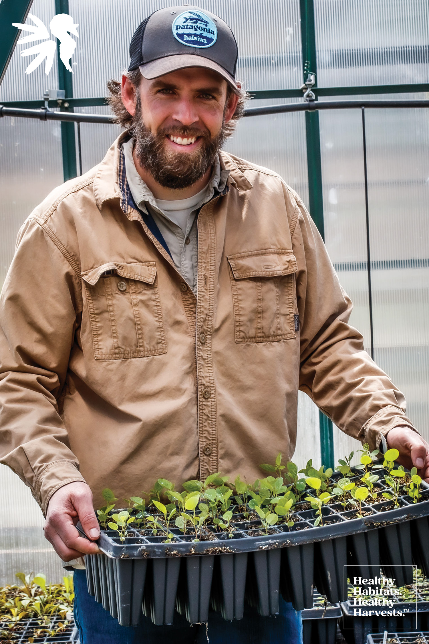 man with tray of seedlings in a greenhouse