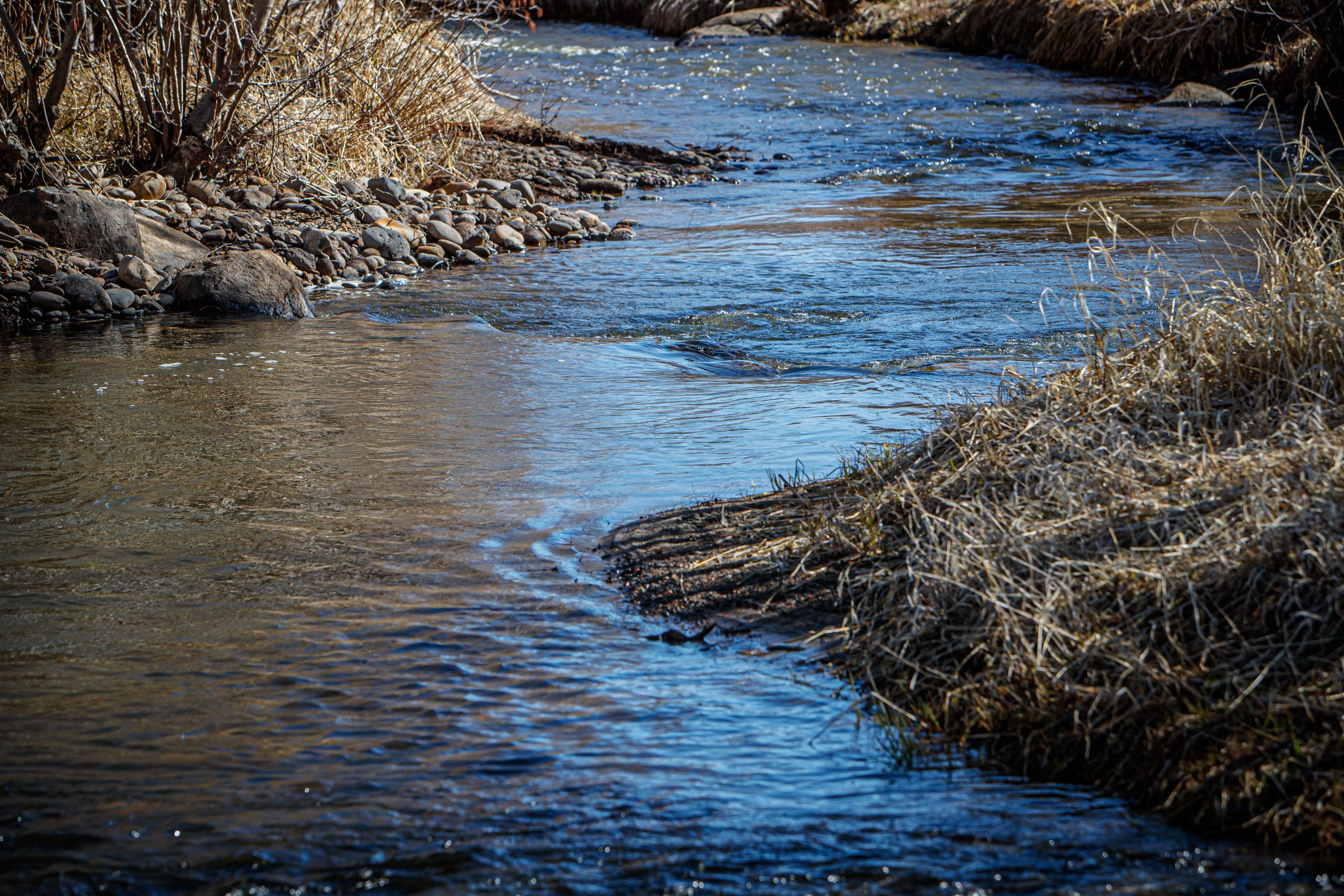 river corridor