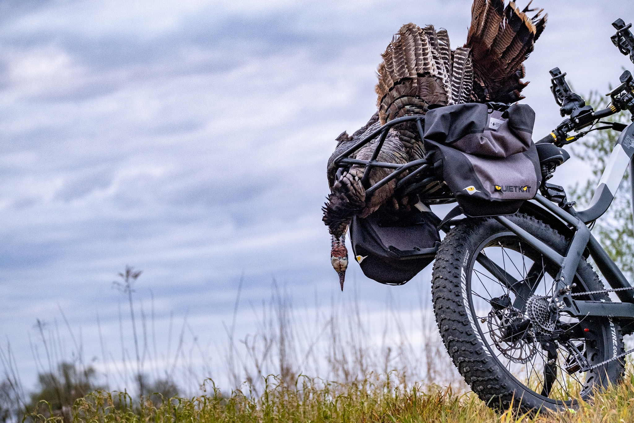 e-bike with a turkey on the back