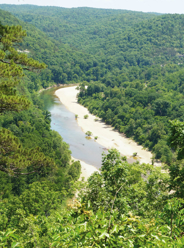 A Foundational Calling The National Wild Turkey Federation