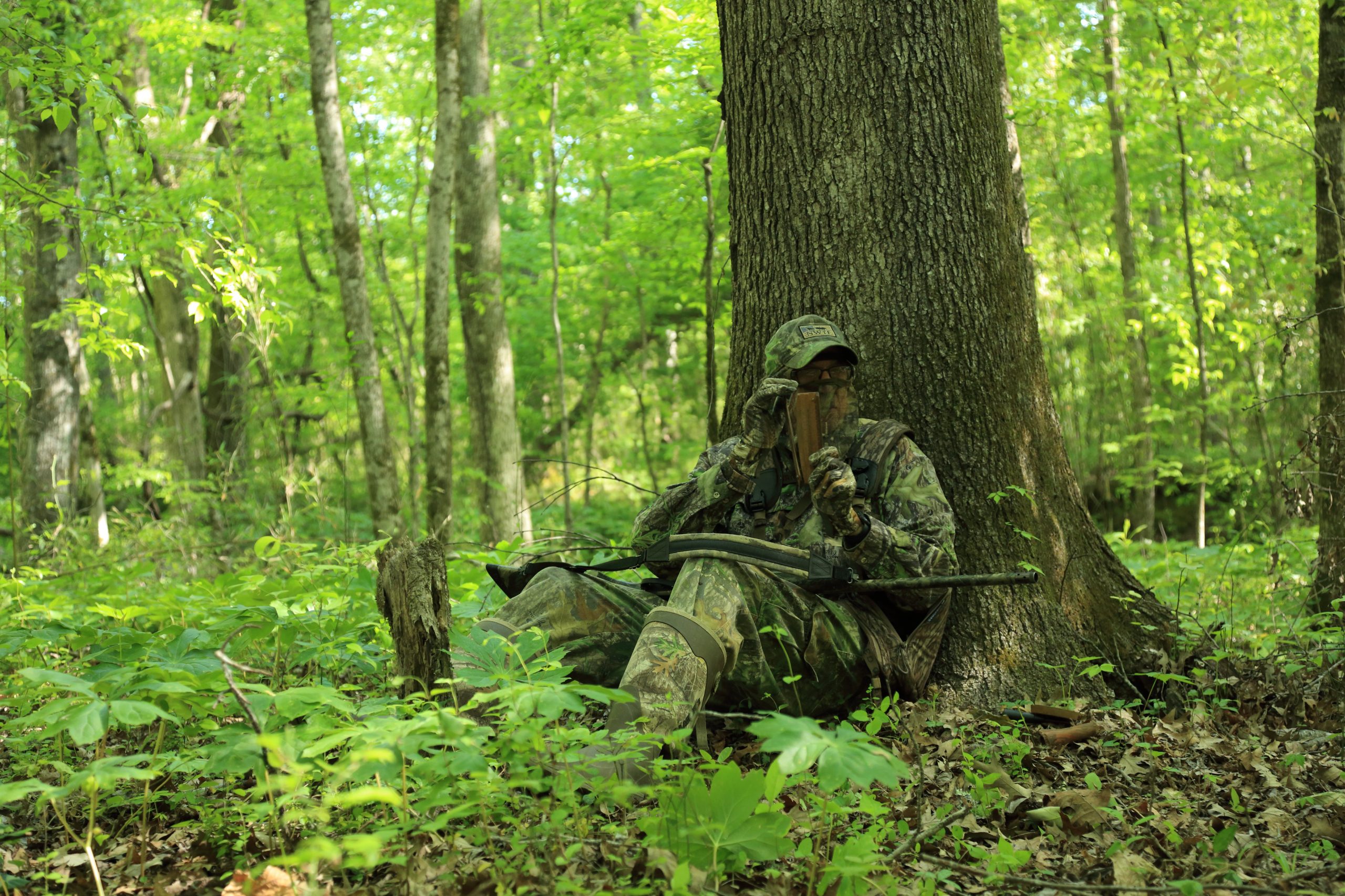 hunter at the base of a tree calling turkeys