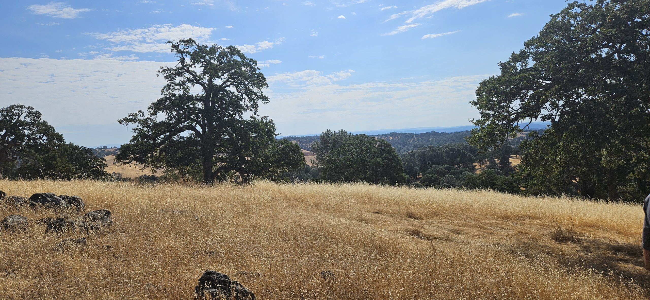 Landscape view of the El Dorado ranch