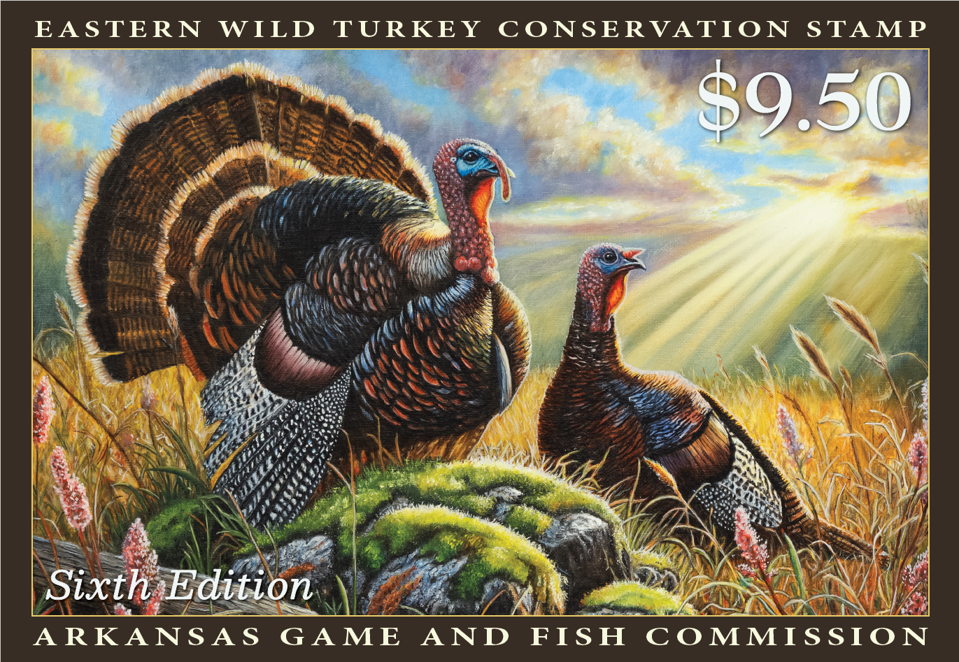 2025 Arkansas Turkey Stamp