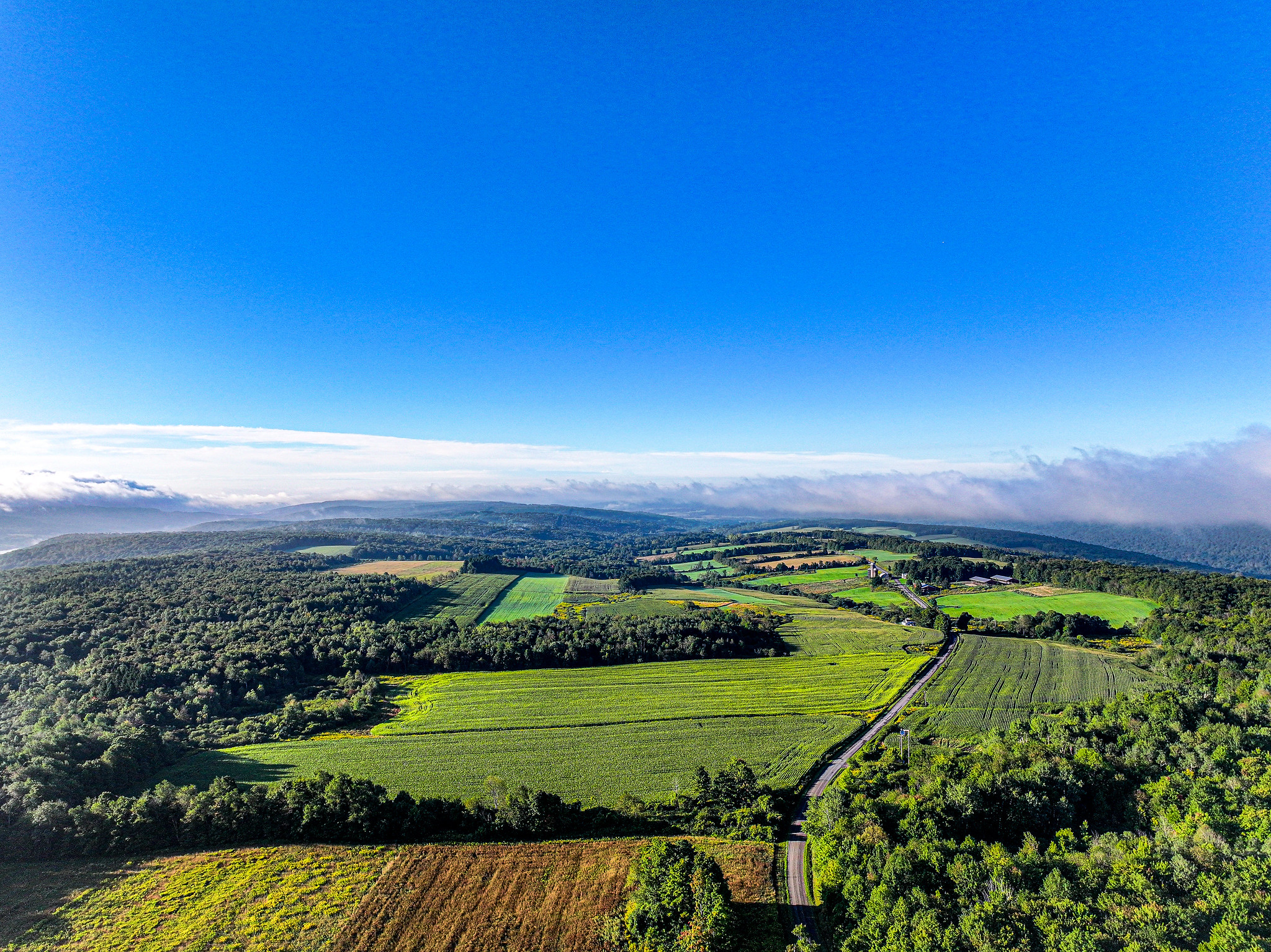 aerial shot of farm land in NY