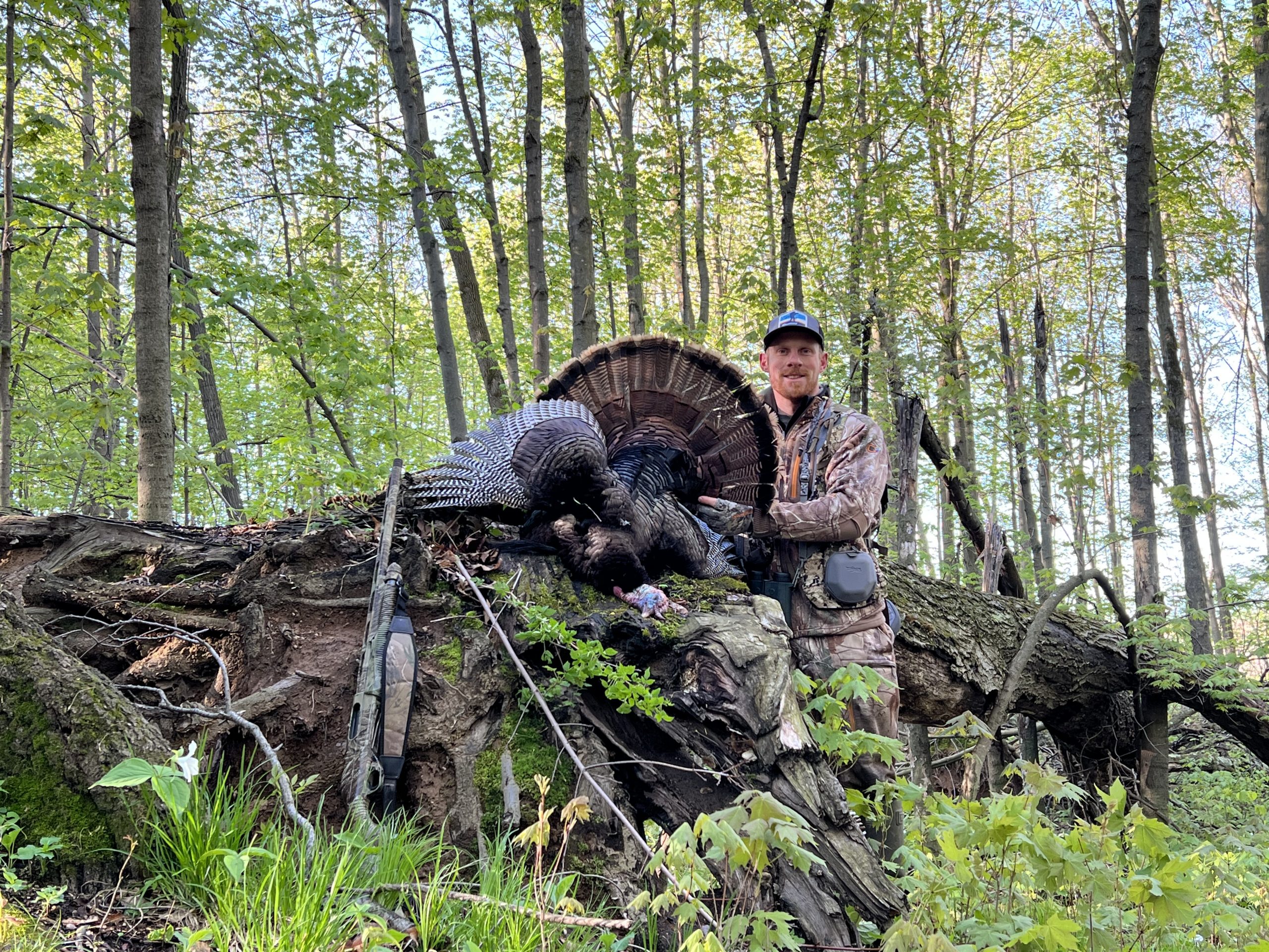 Hunter celebrates his harvested turkey in the forest.