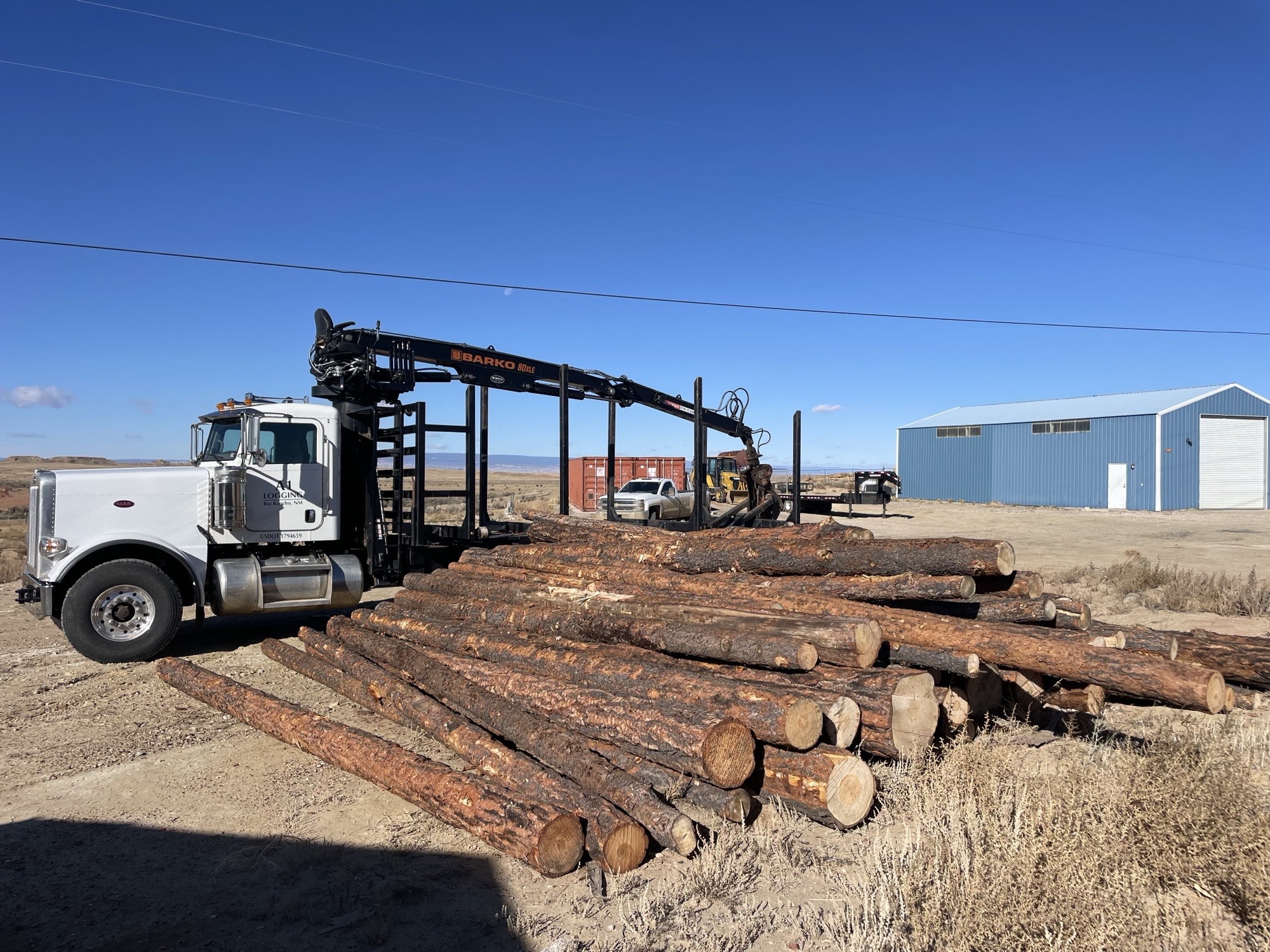 Truck loading harvested sawlogs for transport