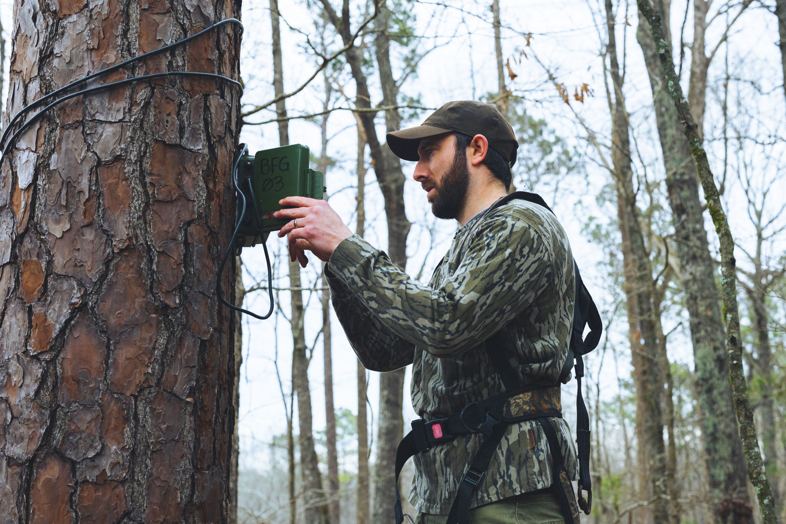 Hunter hanging acoustic recorder on a tree.