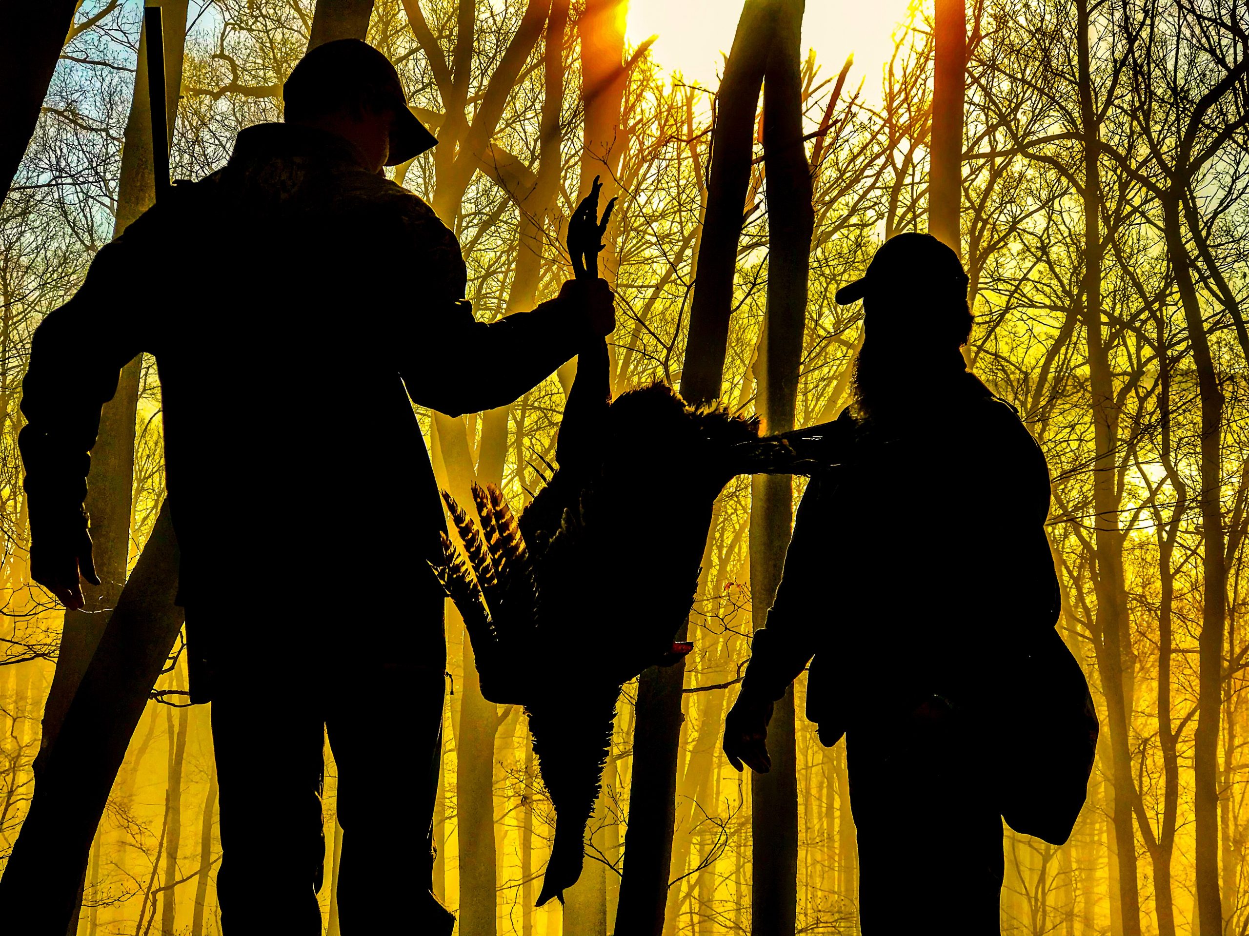 Two turkey hunter silhouetted