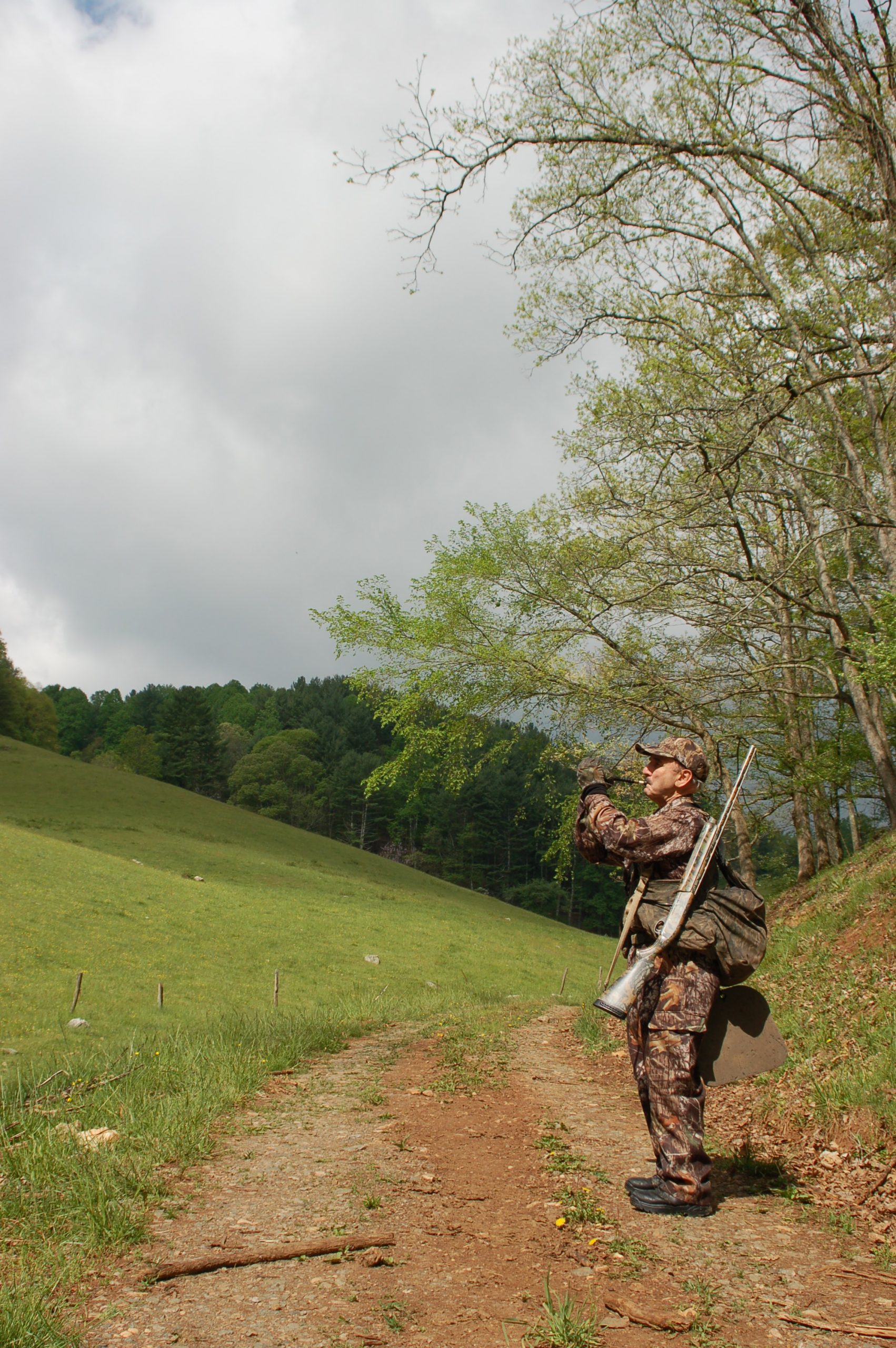 Hunter calls for a wild turkey