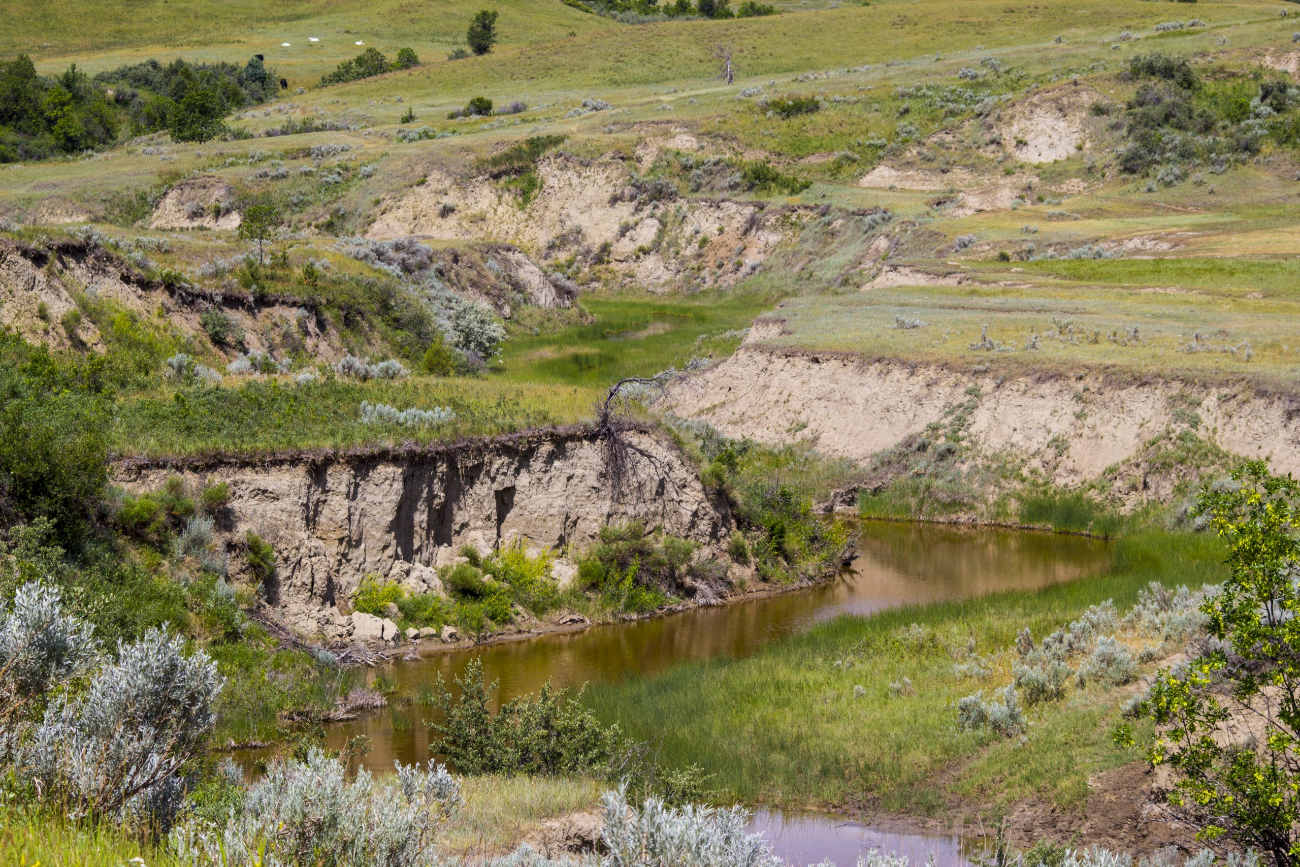 River through the Badlands of the Little Missouri National Grassland, North Dakota